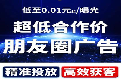 竞价广告在XX行业的成功应用案例